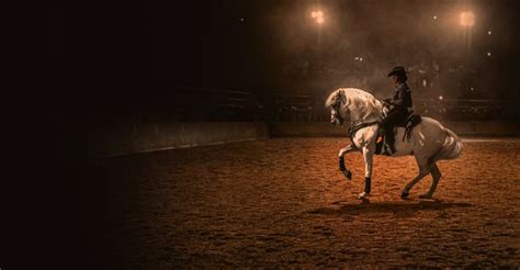 Watch Centurion: The Dancing Stallion .